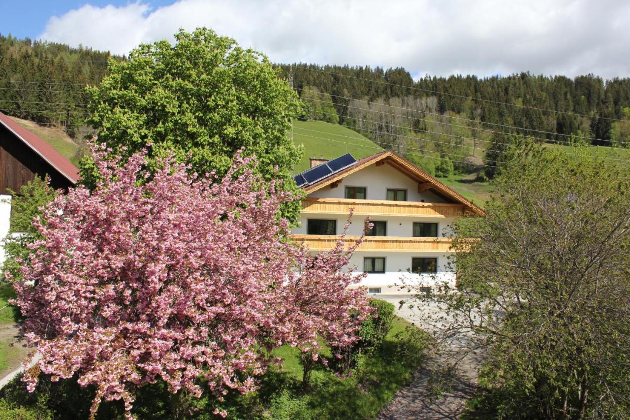 Eiblhof Schladming Exterior foto